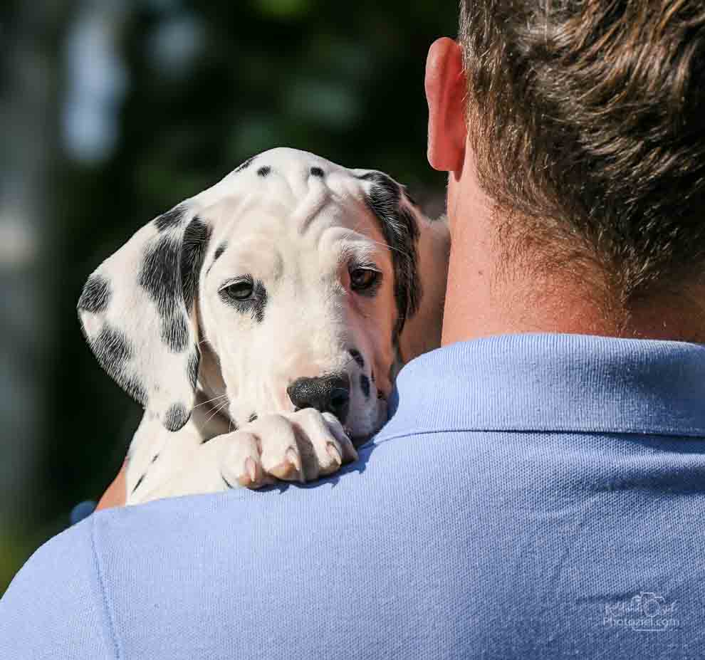 Photographe et son chiot dans les bras