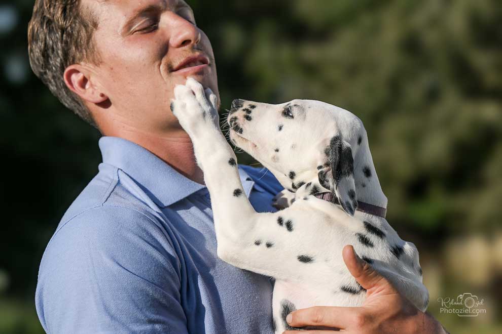 Photographe de chien